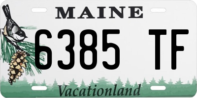 ME license plate 6385TF