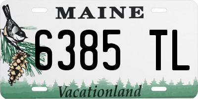 ME license plate 6385TL