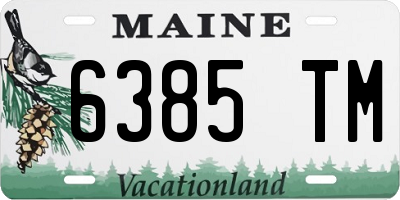 ME license plate 6385TM