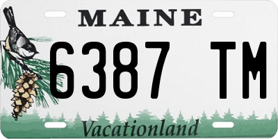 ME license plate 6387TM