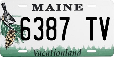 ME license plate 6387TV