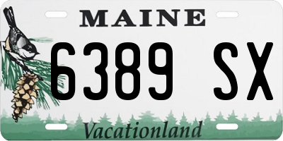 ME license plate 6389SX