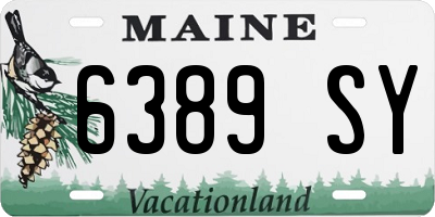 ME license plate 6389SY