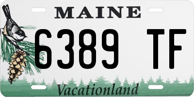 ME license plate 6389TF