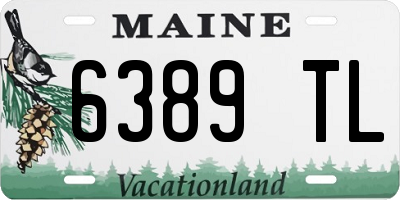 ME license plate 6389TL
