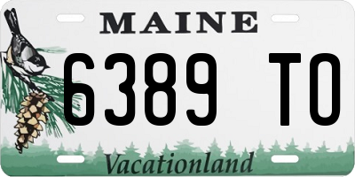 ME license plate 6389TO