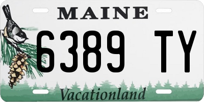 ME license plate 6389TY