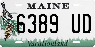 ME license plate 6389UD