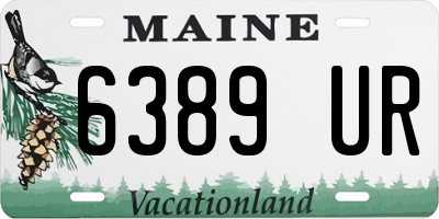 ME license plate 6389UR