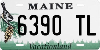 ME license plate 6390TL