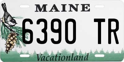 ME license plate 6390TR