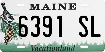 ME license plate 6391SL