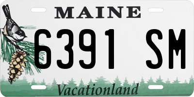 ME license plate 6391SM