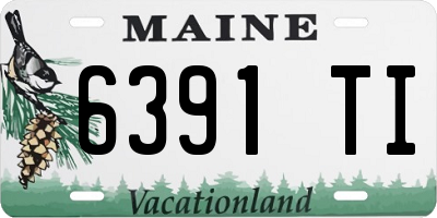 ME license plate 6391TI