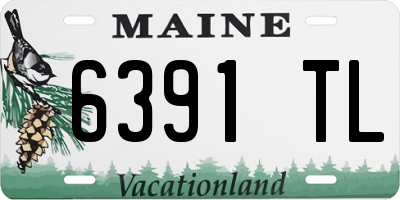 ME license plate 6391TL