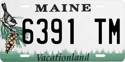 ME license plate 6391TM