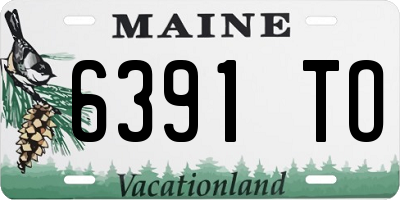 ME license plate 6391TO