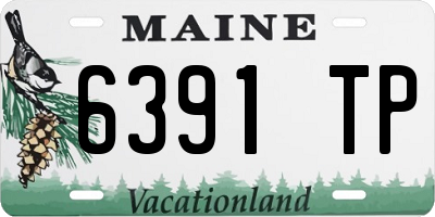ME license plate 6391TP