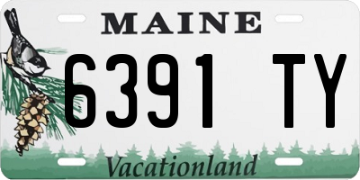 ME license plate 6391TY