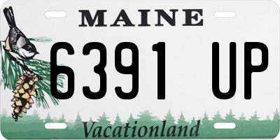 ME license plate 6391UP