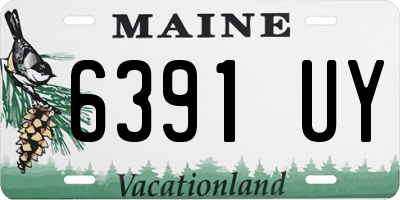 ME license plate 6391UY