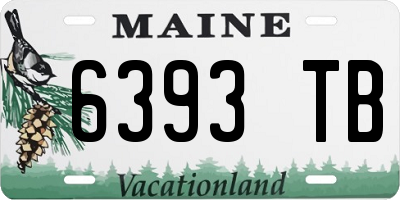 ME license plate 6393TB