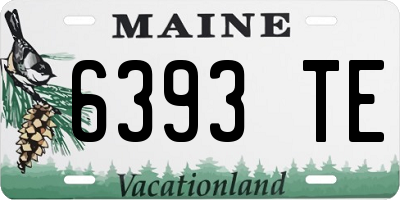 ME license plate 6393TE