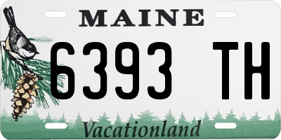 ME license plate 6393TH