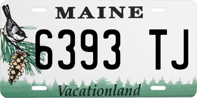 ME license plate 6393TJ