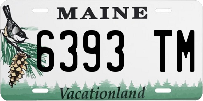 ME license plate 6393TM