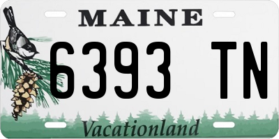 ME license plate 6393TN