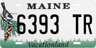 ME license plate 6393TR