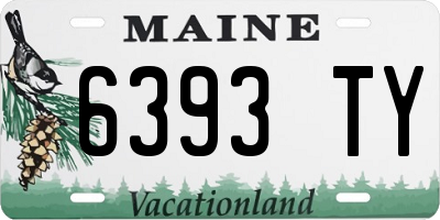 ME license plate 6393TY