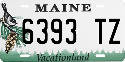 ME license plate 6393TZ