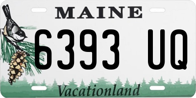 ME license plate 6393UQ
