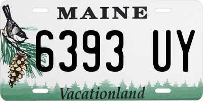 ME license plate 6393UY