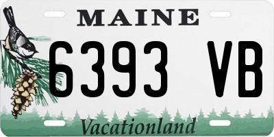 ME license plate 6393VB