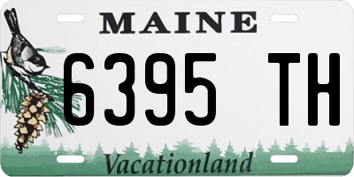 ME license plate 6395TH