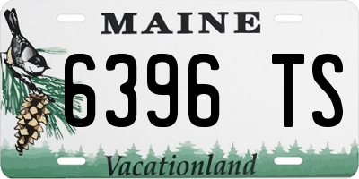 ME license plate 6396TS