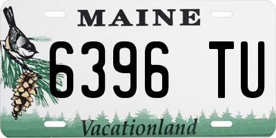 ME license plate 6396TU