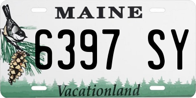ME license plate 6397SY