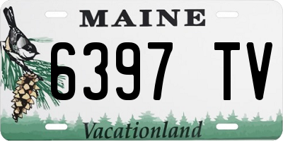 ME license plate 6397TV