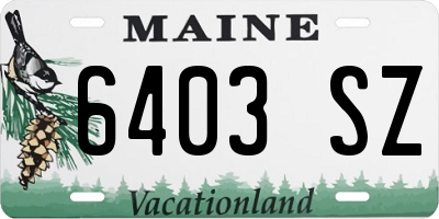 ME license plate 6403SZ
