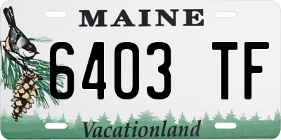 ME license plate 6403TF