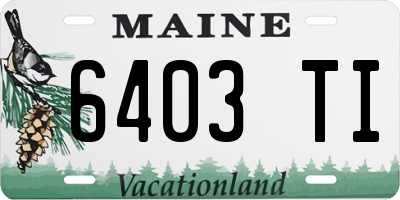 ME license plate 6403TI