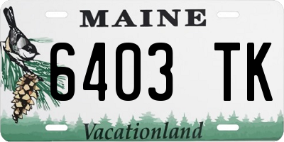 ME license plate 6403TK