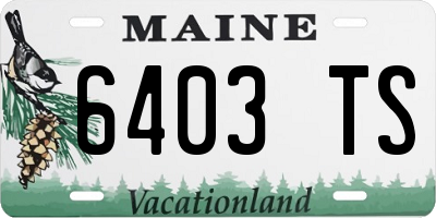 ME license plate 6403TS