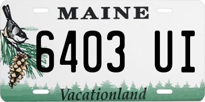 ME license plate 6403UI