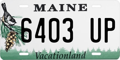 ME license plate 6403UP