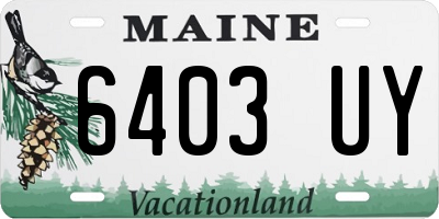 ME license plate 6403UY